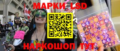 индика Донецк