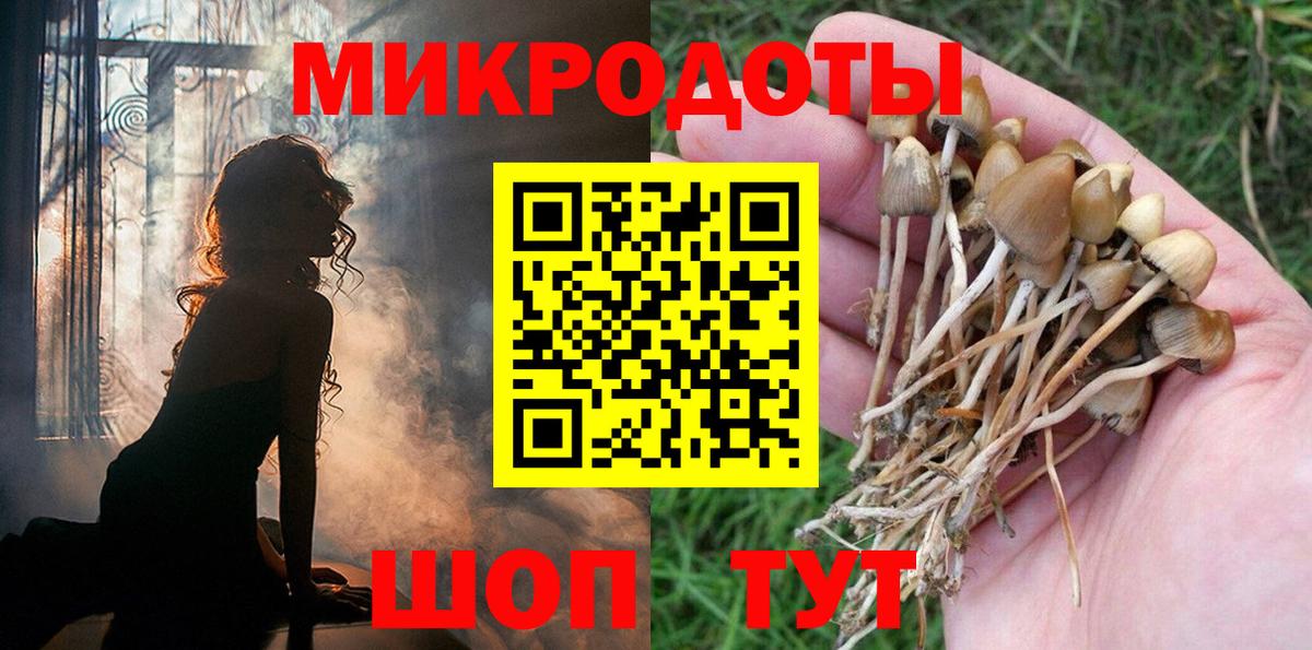 Галлюциногенные грибы MAGIC MUSHROOMS Надым