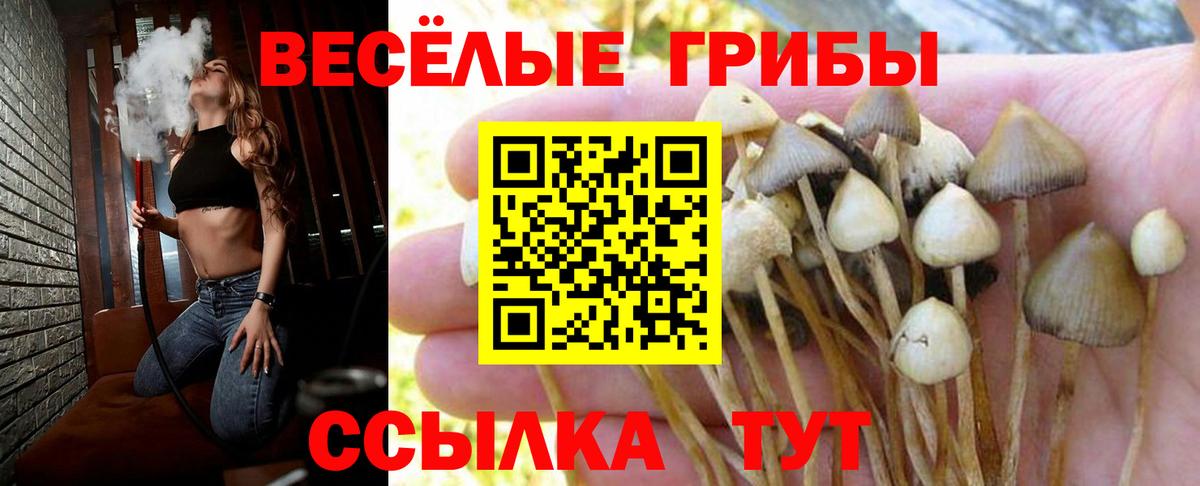 Псилоцибиновые грибы мухоморы  Вход с VPN  Надым  где купить наркоту  Псилоцибиновые грибы Cubensis 